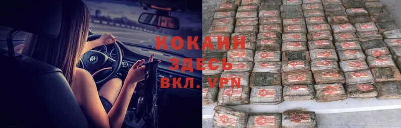 Cocaine Columbia  купить  цена  маркетплейс какой сайт  Нижние Серги 